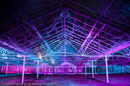 Mirrie Dancers Illuminations - Glasshouses, Tingwall