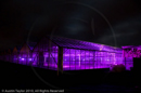 Mirrie Dancers Illuminations - Glasshouses, Tingwall