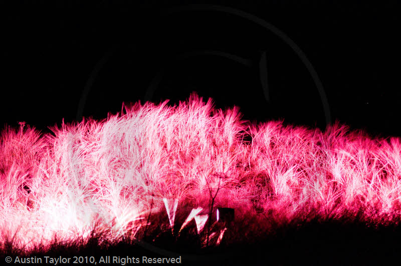 Mirrie Dancers Illuminations - Sand Dunes, West Sandwick