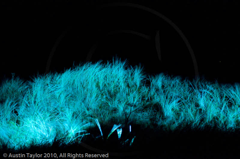 Mirrie Dancers Illuminations - Sand Dunes, West Sandwick