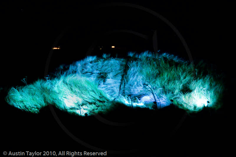 Mirrie Dancers Illuminations - Sand Dunes, West Sandwick