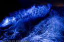 Mirrie Dancers Illuminations - Sand Dunes, West Sandwick