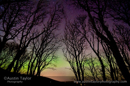 Aurora, Kergord
