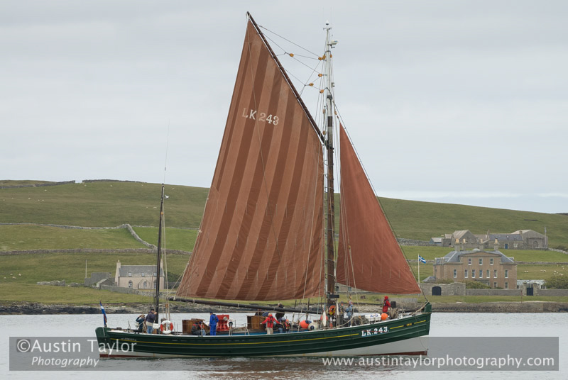 The Swan at the Johnsmas Foy 2008, Shetland