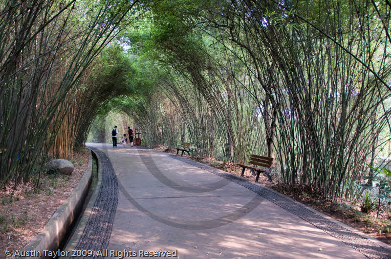 Giant Panda Breeding and Research Centre, Chengdu, Sichuan