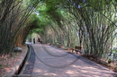 Giant Panda Breeding and Research Centre, Chengdu, Sichuan