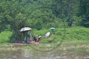People fishing on the Min River, Sichuan, Leshan, China