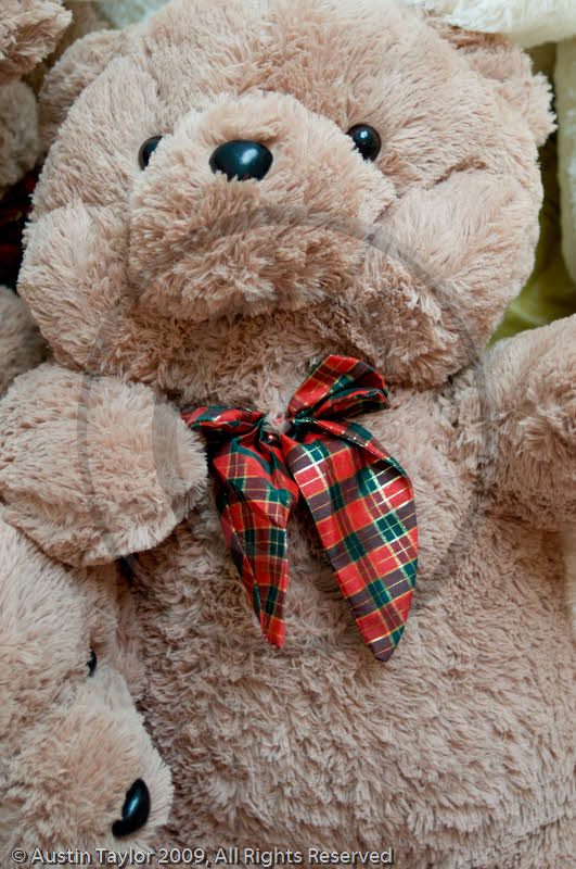 Teddy bears in a department store on Nanjing Road, Shanghai