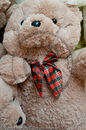 Teddy bears in a department store on Nanjing Road, Shanghai