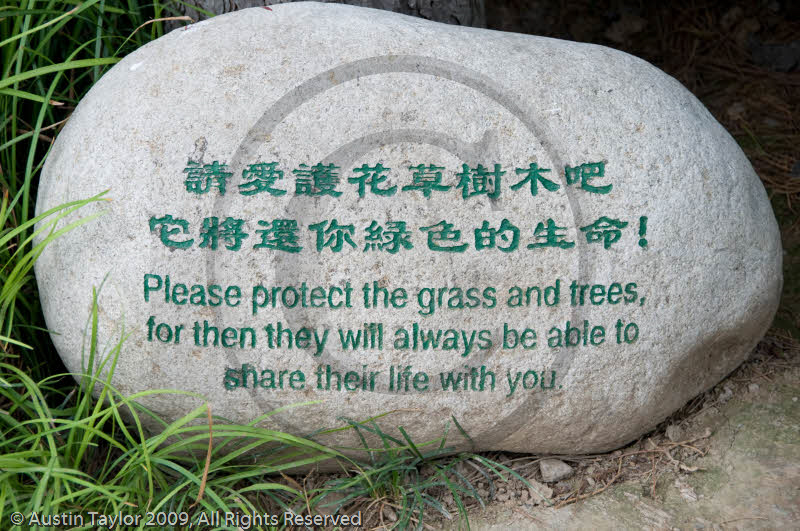 Big Wild Goose Pagoda, Xi'an