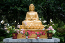 Big Wild Goose Pagoda, Xi'an