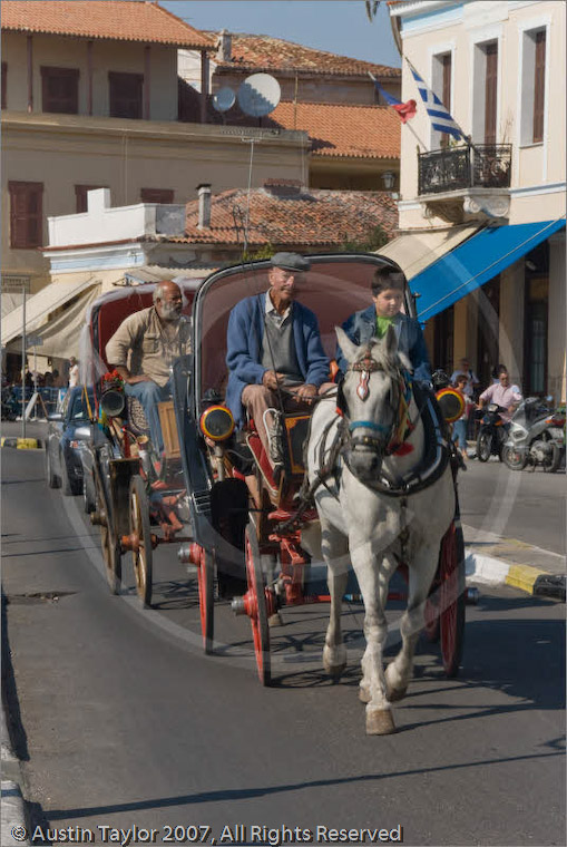 Pony and traps Aegina, Greece 23 September 2007