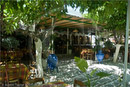 Restaurant at Aghia Marina Aegina, Greece 24 September 2007