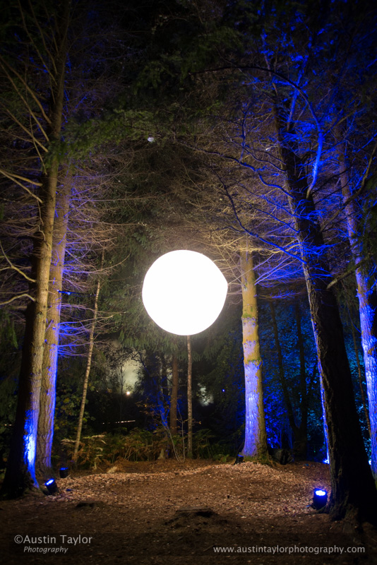 The Enchanted Forest, Faskally Wood, near Pitlochry - evening of day 5 of 2013-10-09_16 Kindrogan - Field Studies Council Autumn Birds and Migration course at Kindrogran, near Enochdhu, Blairgowrie, Perth and Kinross