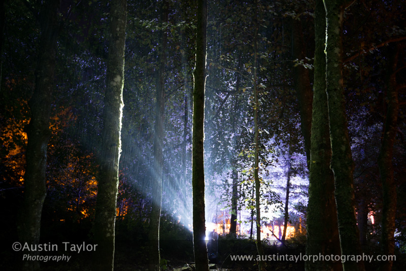 The Enchanted Forest, Faskally Wood, near Pitlochry - evening of day 5 of 2013-10-09_16 Kindrogan - Field Studies Council Autumn Birds and Migration course at Kindrogran, near Enochdhu, Blairgowrie, Perth and Kinross